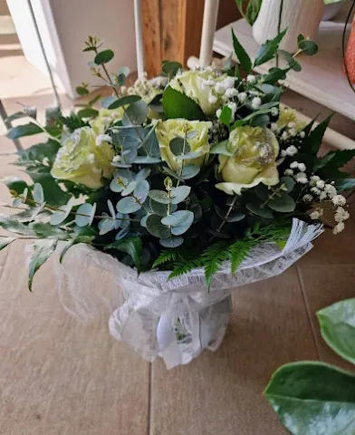 L'orchidea - Fiori e Piante