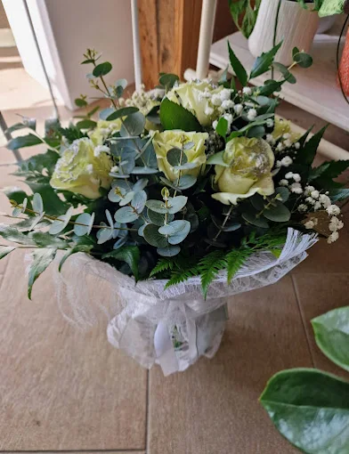 L'orchidea - Fiori e Piante