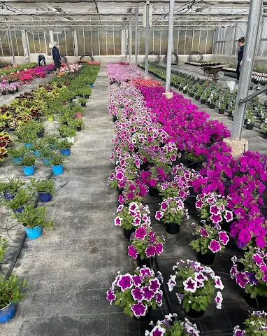 Vivaio Teresa & Vivai Ambiental