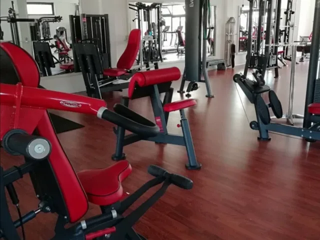 Palestra Body Evolution
