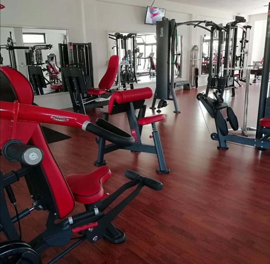 Palestra Body Evolution