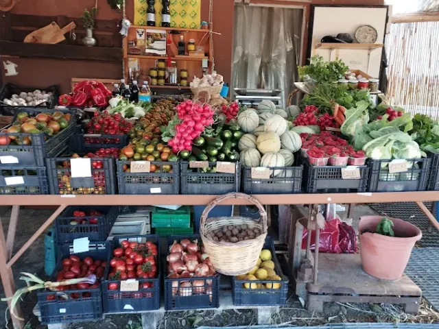 Frutta e Verdura Ivo