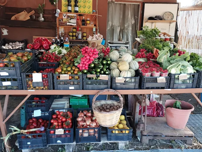 Frutta e Verdura Ivo