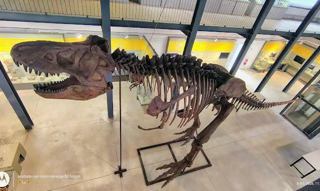 Museo dei Paleoambienti Sulcitani “E. A. Martel”