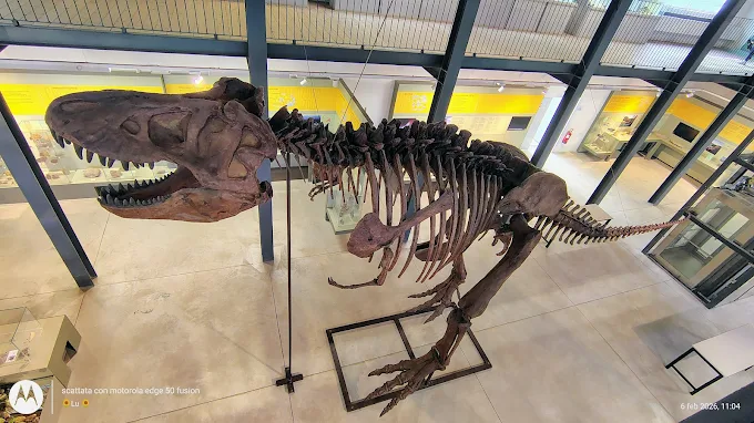 Museo dei Paleoambienti Sulcitani “E. A. Martel”