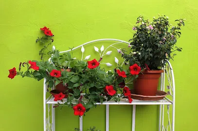 Appartamento Belvedere
