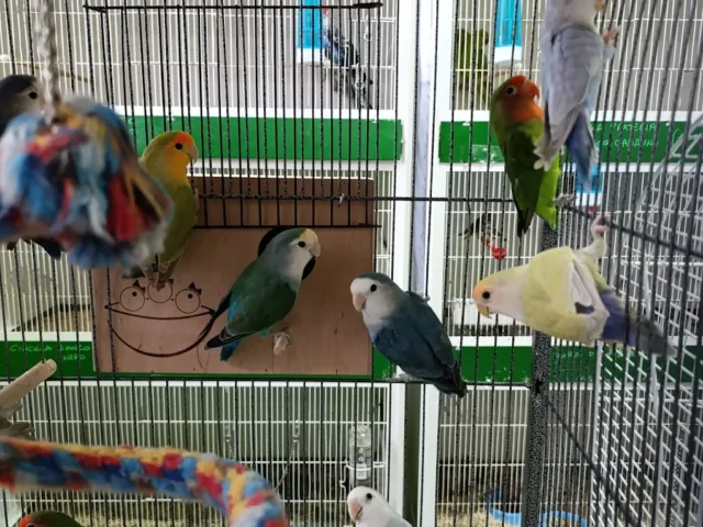ZooHabitat