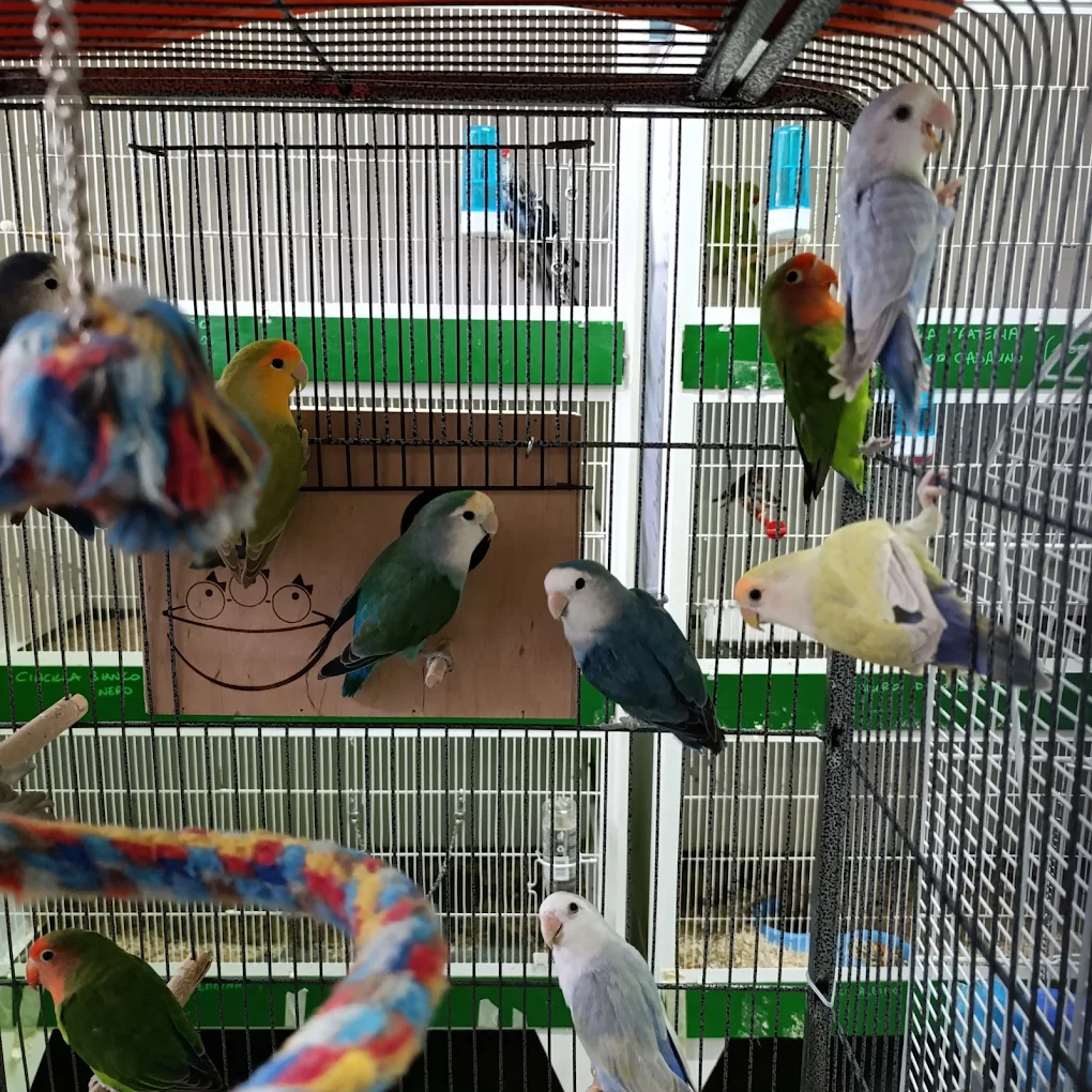 ZooHabitat