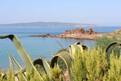 Il mio rifugio fiorito tra le onde