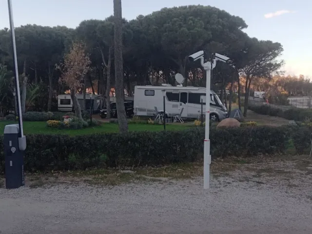 Falegnameria artigiana Uccheddu Paolo