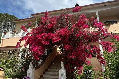 Casa Vacanze La Brii