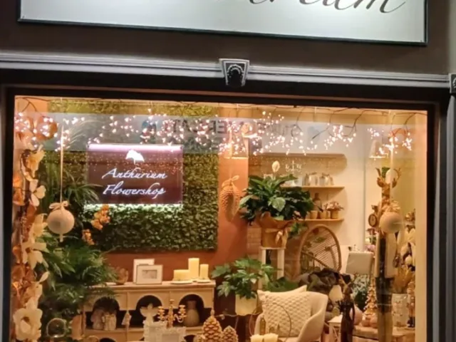 ANTHURIUM fiori e piante