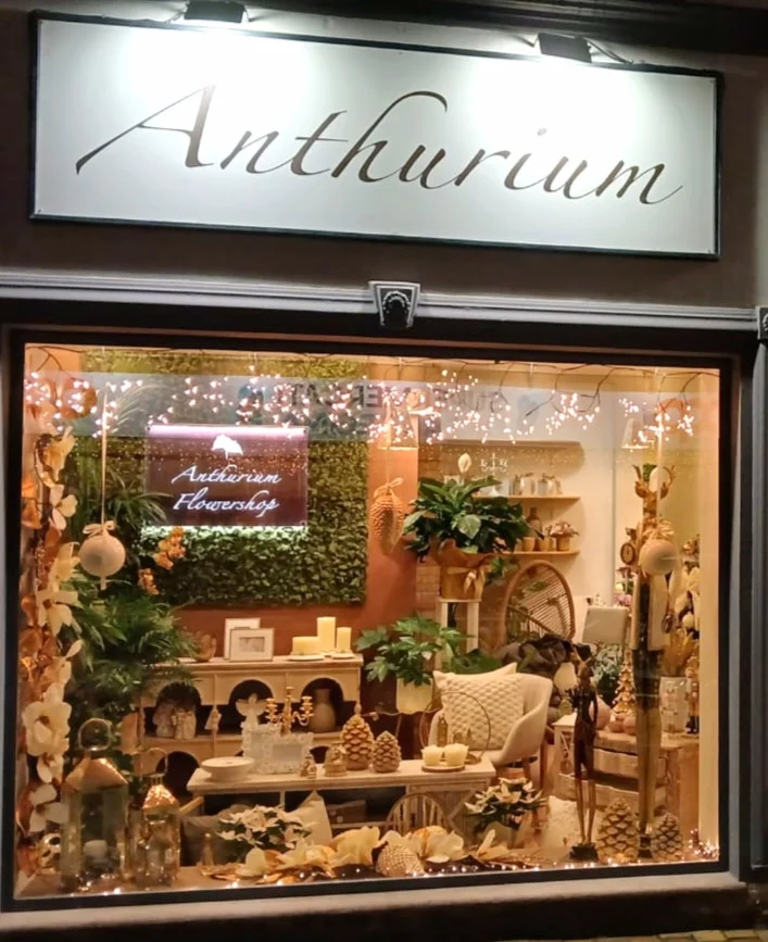 ANTHURIUM fiori e piante