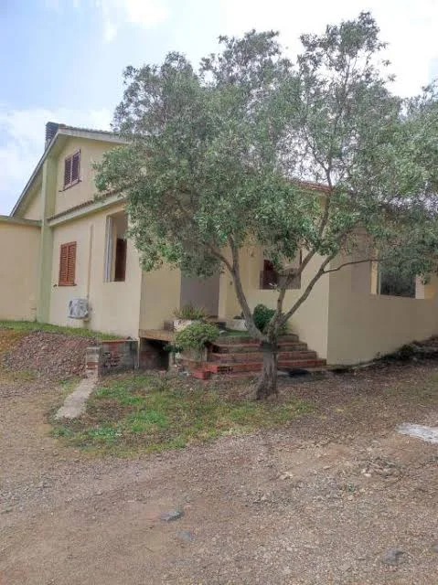 La casa tra gli Ulivi