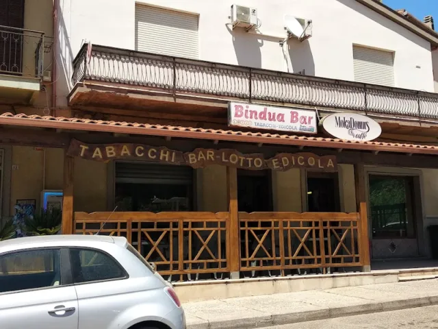 Bindua Bar