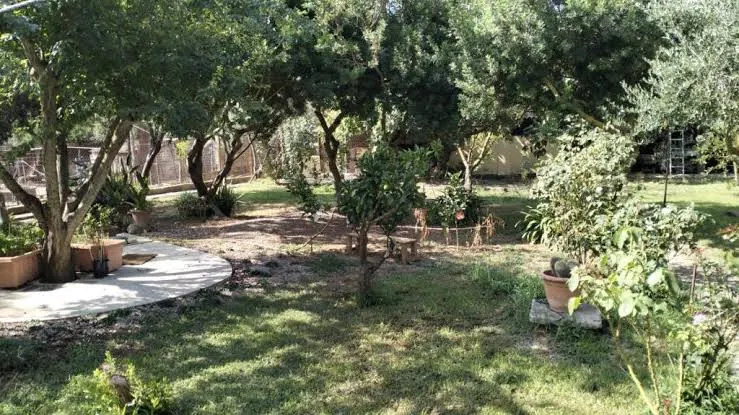 Il Giardino di Giò