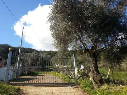 Circondato Dalla Natura