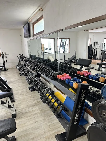 Palestra Oasi Gym