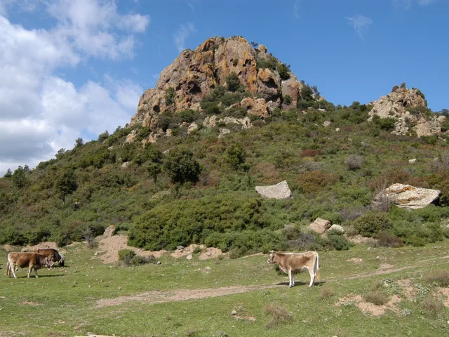 Monte Perdas de Fogu