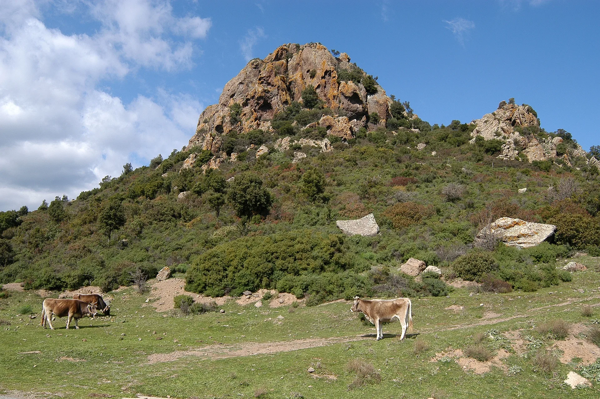 Monte Perdas de Fogu