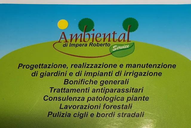 Ambiental Service