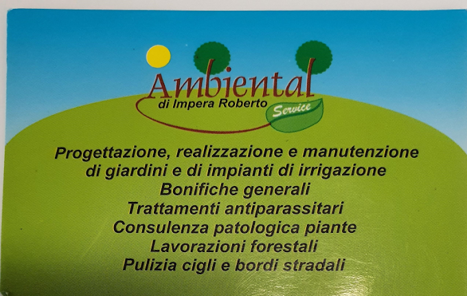 Ambiental Service