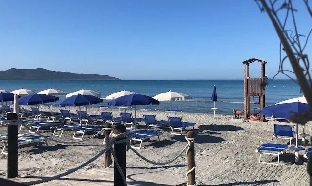 Il Delfino