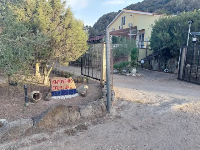 Il Lentischio