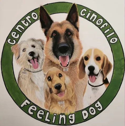 Feeling Dog