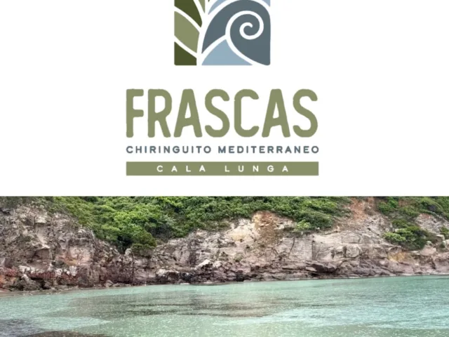 Frascas Chiringuito Mediterraneo