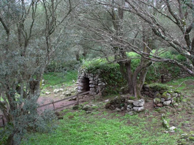 Foresta demaniale Rosas