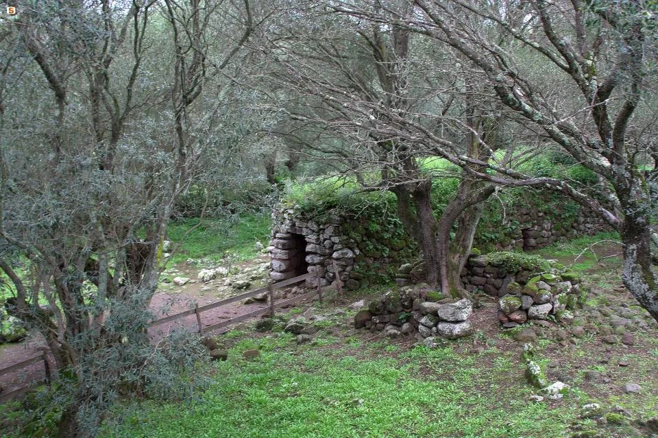 Foresta demaniale Rosas