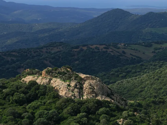 Monte Maria