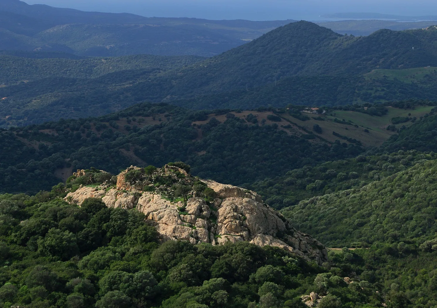 Monte Maria