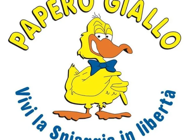 Papero Giallo