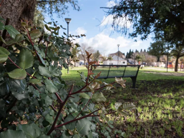 Parco delle Rimembranze