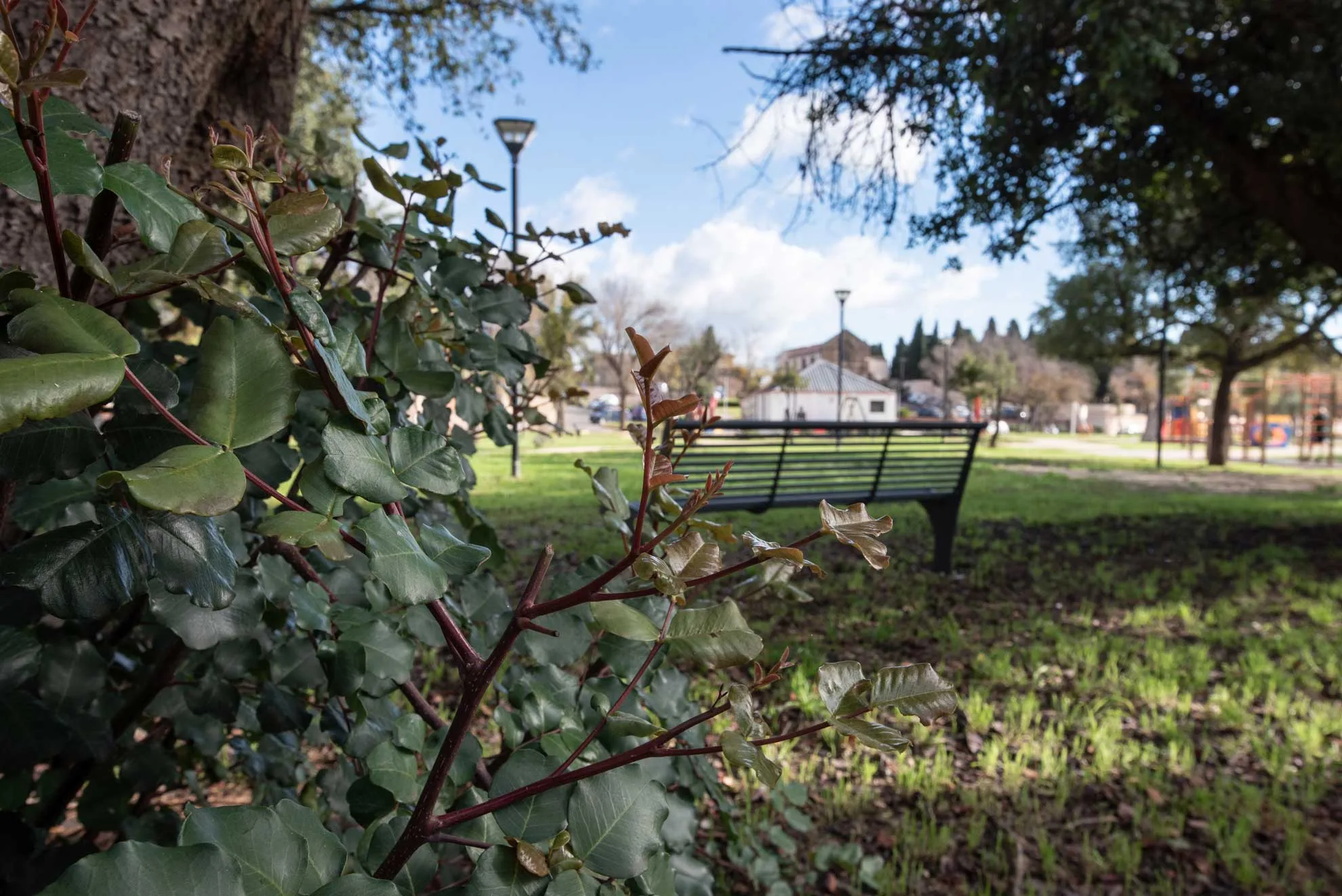 Parco delle Rimembranze