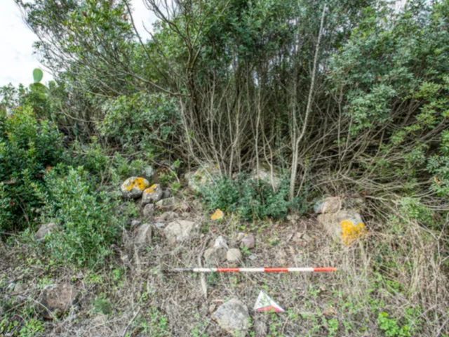 Nuraghe Loddi