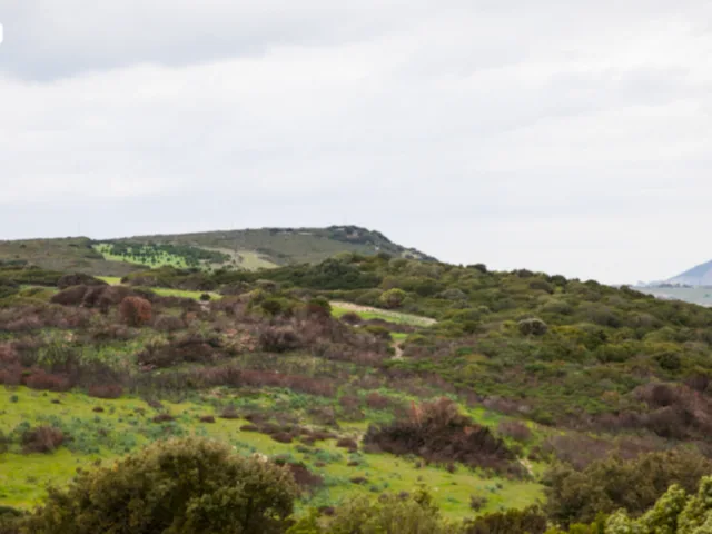 Nuraghe Murru Moi