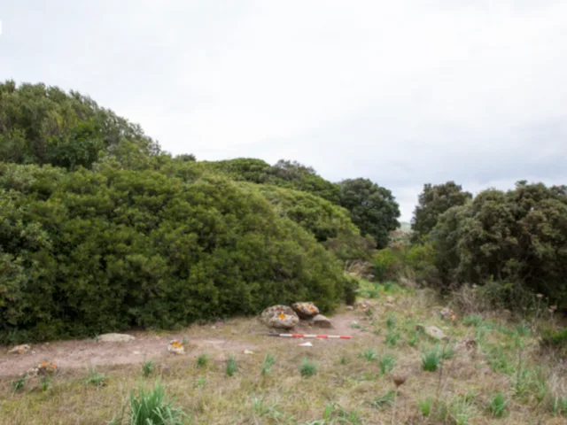 Nuraghe Moru Nieddu