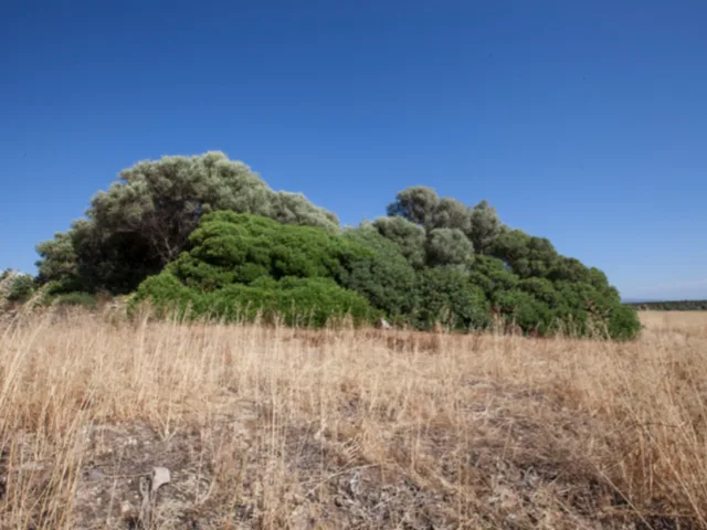 Nuraghe Cambulas