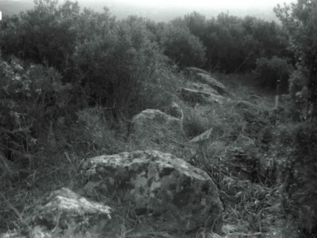 Nuraghe Bega Arrosu