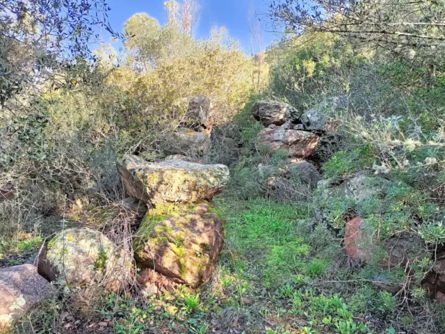 Nuraghe Montexi 1