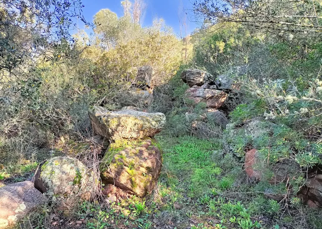 Nuraghe Montexi 1
