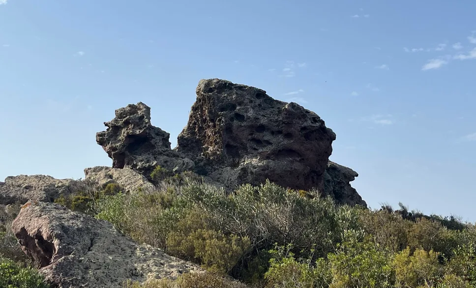 La Lumaca