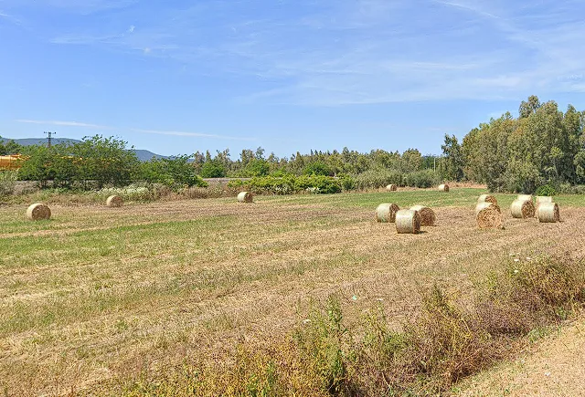 Azienda Agricola Is Rius