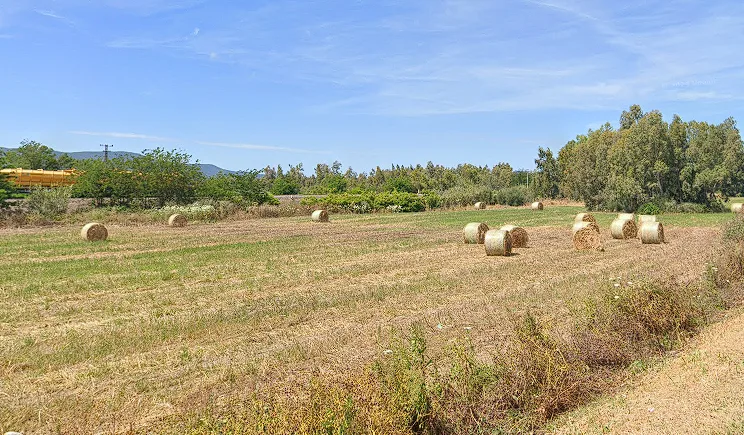Azienda Agricola Is Rius