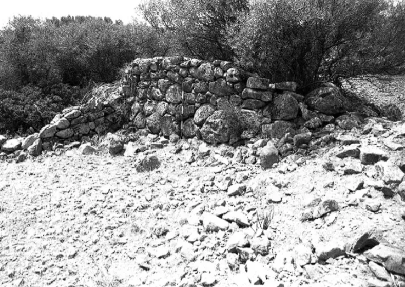Tomba di Giganti Carroccia