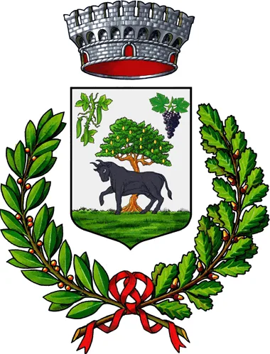 Comune di Musei