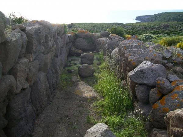 Tomba dei Giganti di Su Niu e Su Crobu